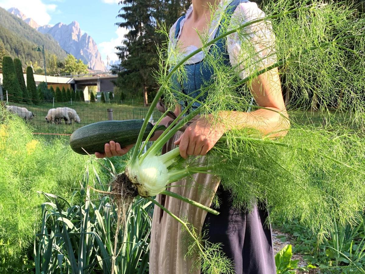 Apparthotel Germania Toblach Exteriör bild