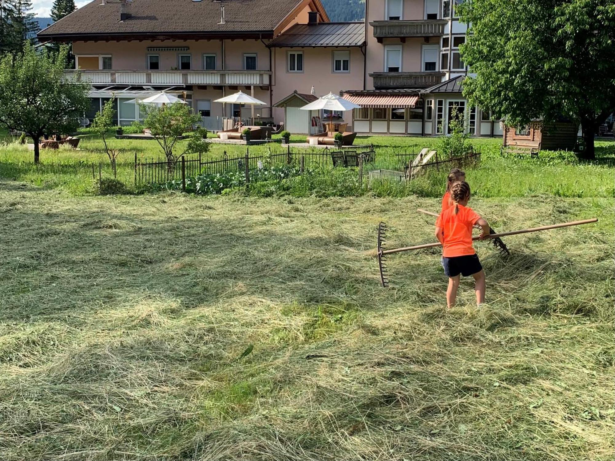 Apparthotel Germania Toblach Exteriör bild